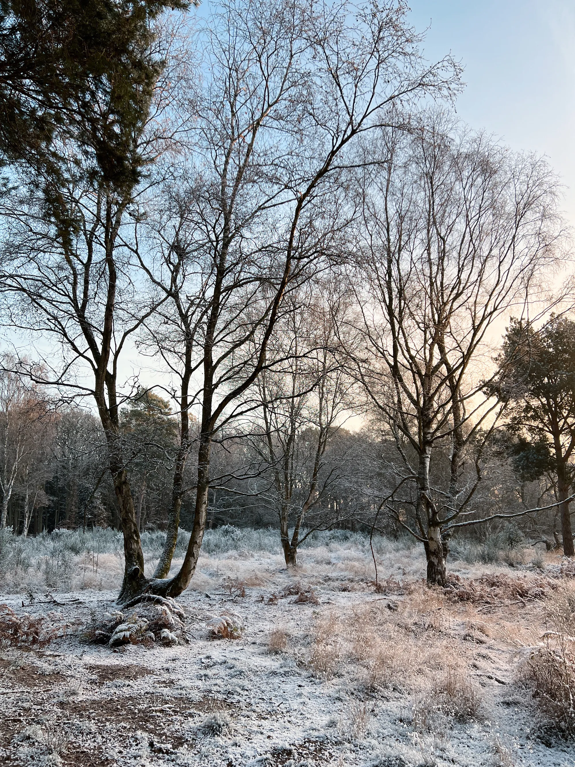Winter - Dorin Vancea