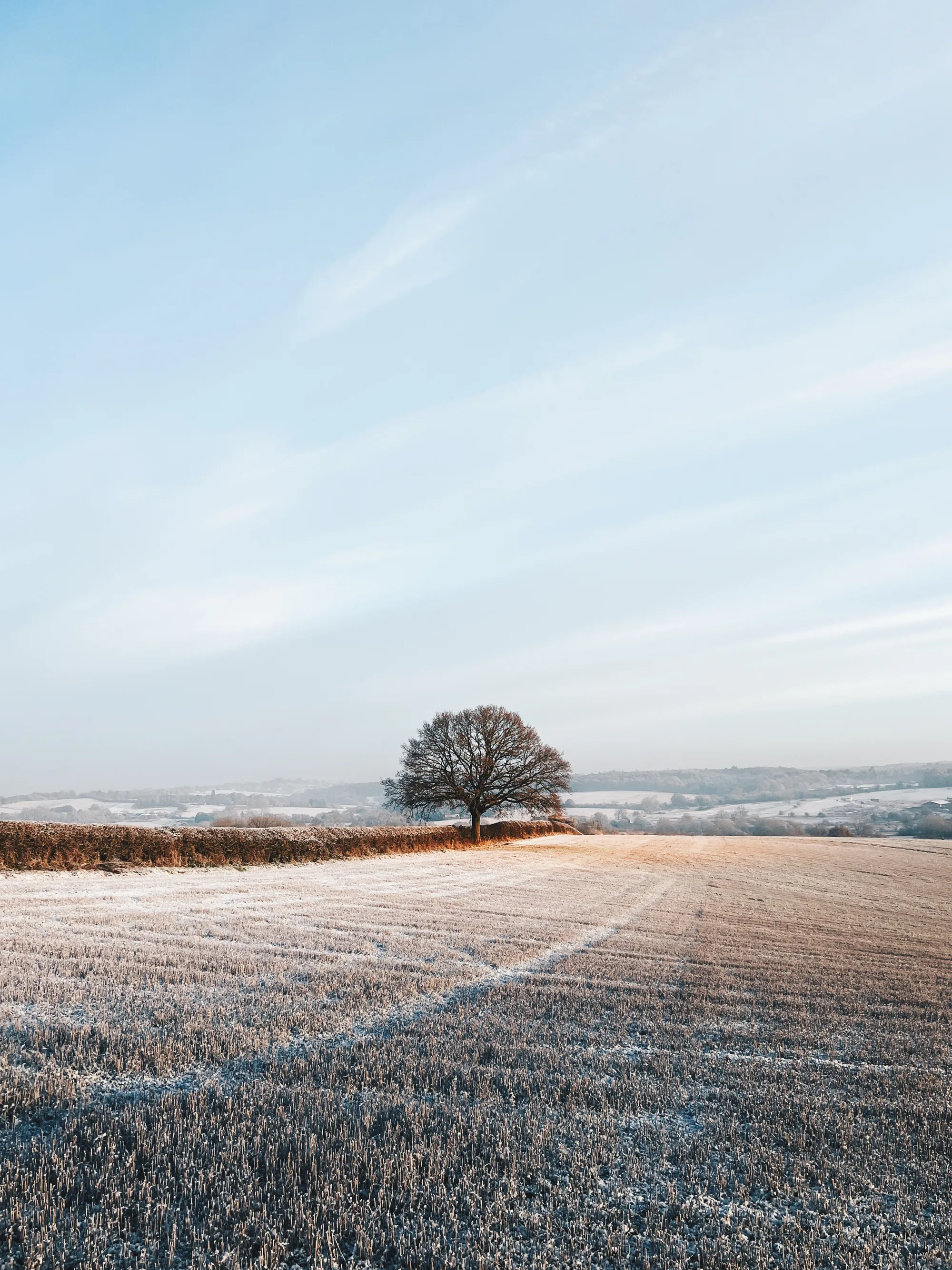 Winter - Dorin Vancea