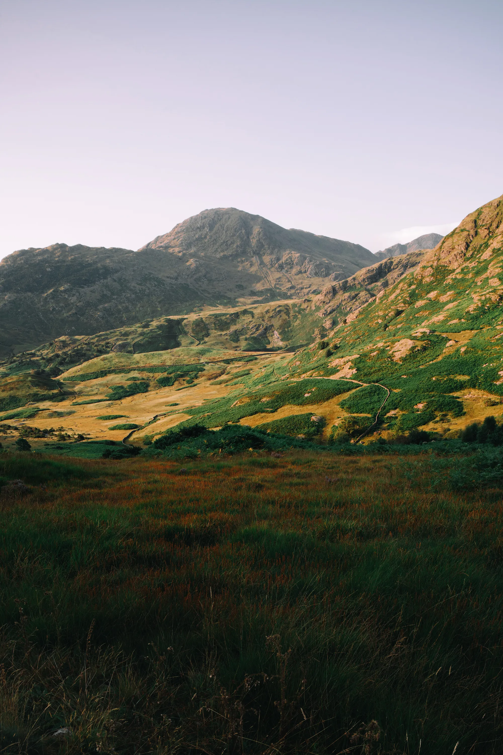 Hills - Dorin Vancea