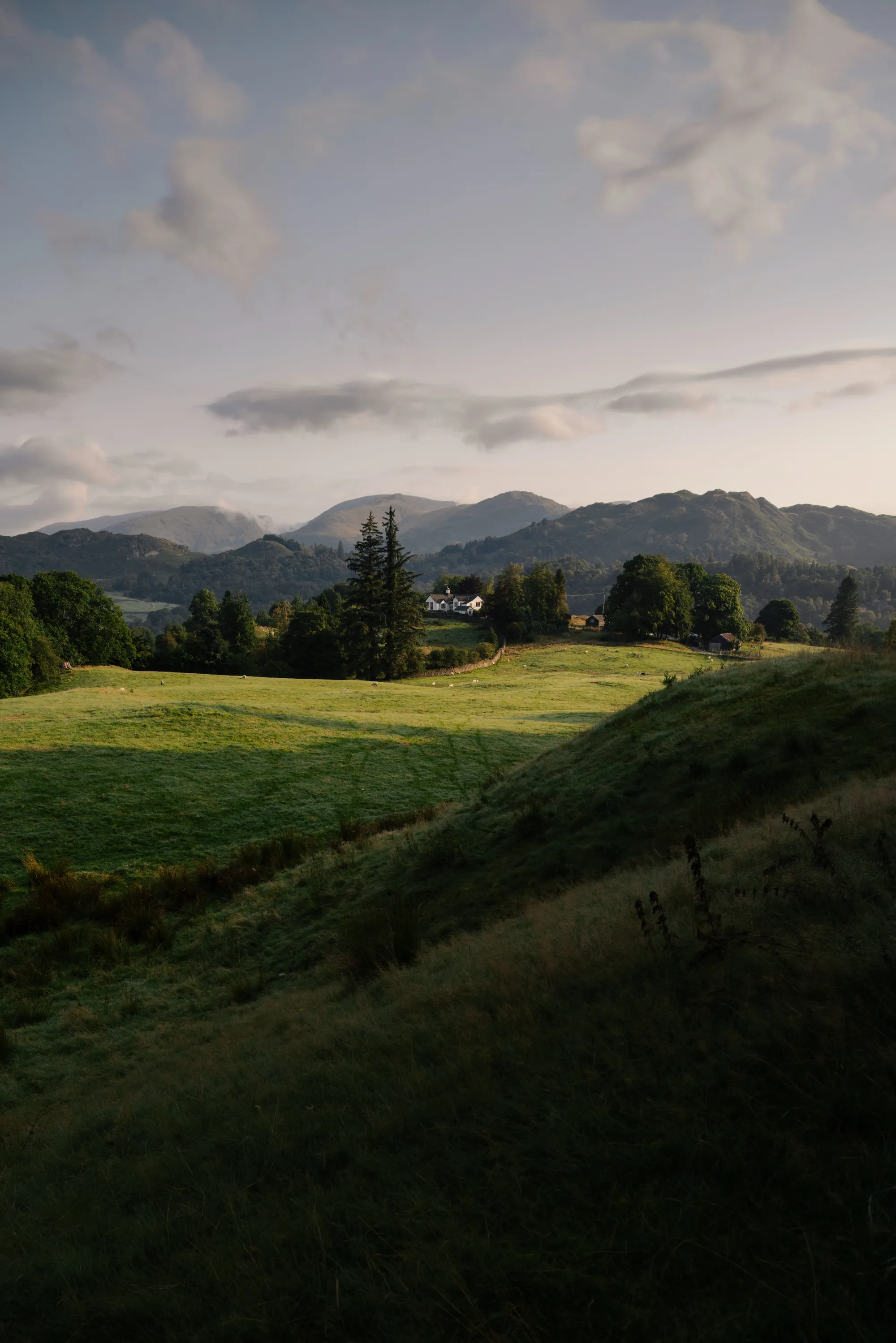 Hills - Dorin Vancea