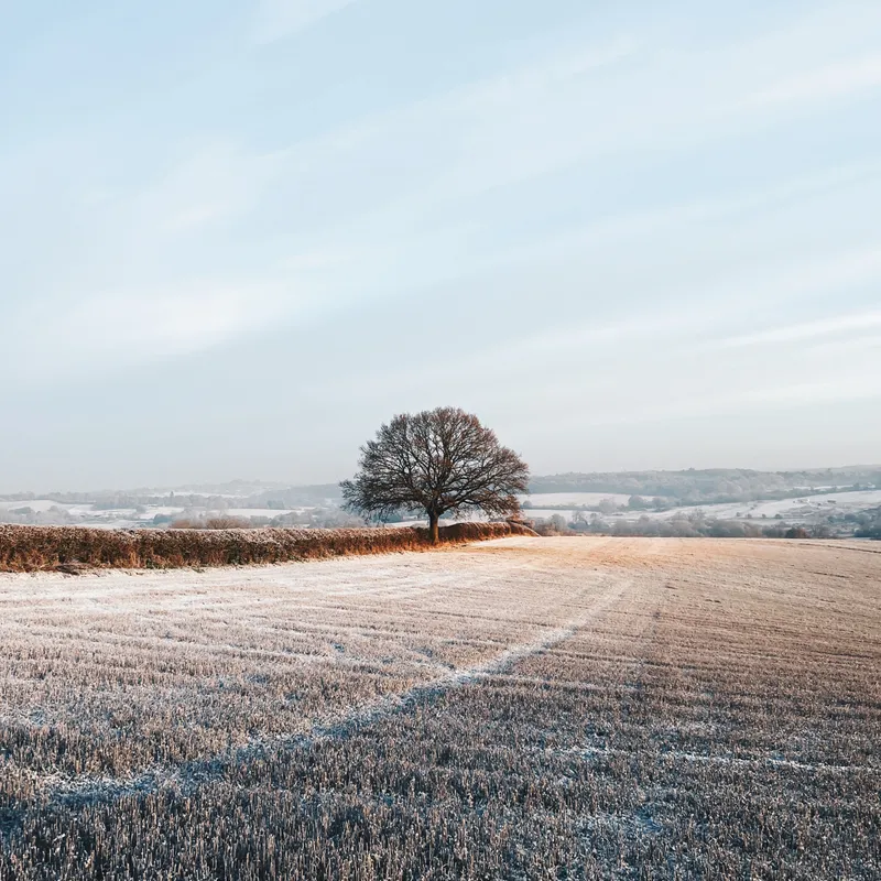Winter